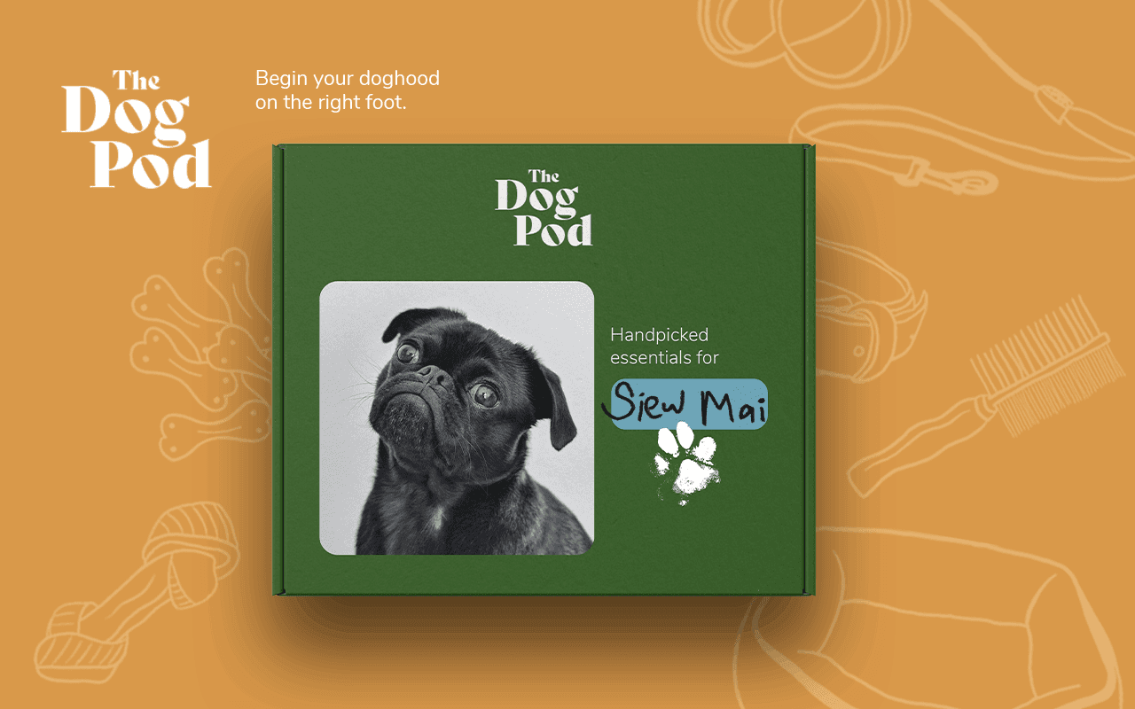 Somewhere Else Internship Experience Project X Regenerative Branding The Dog Pod