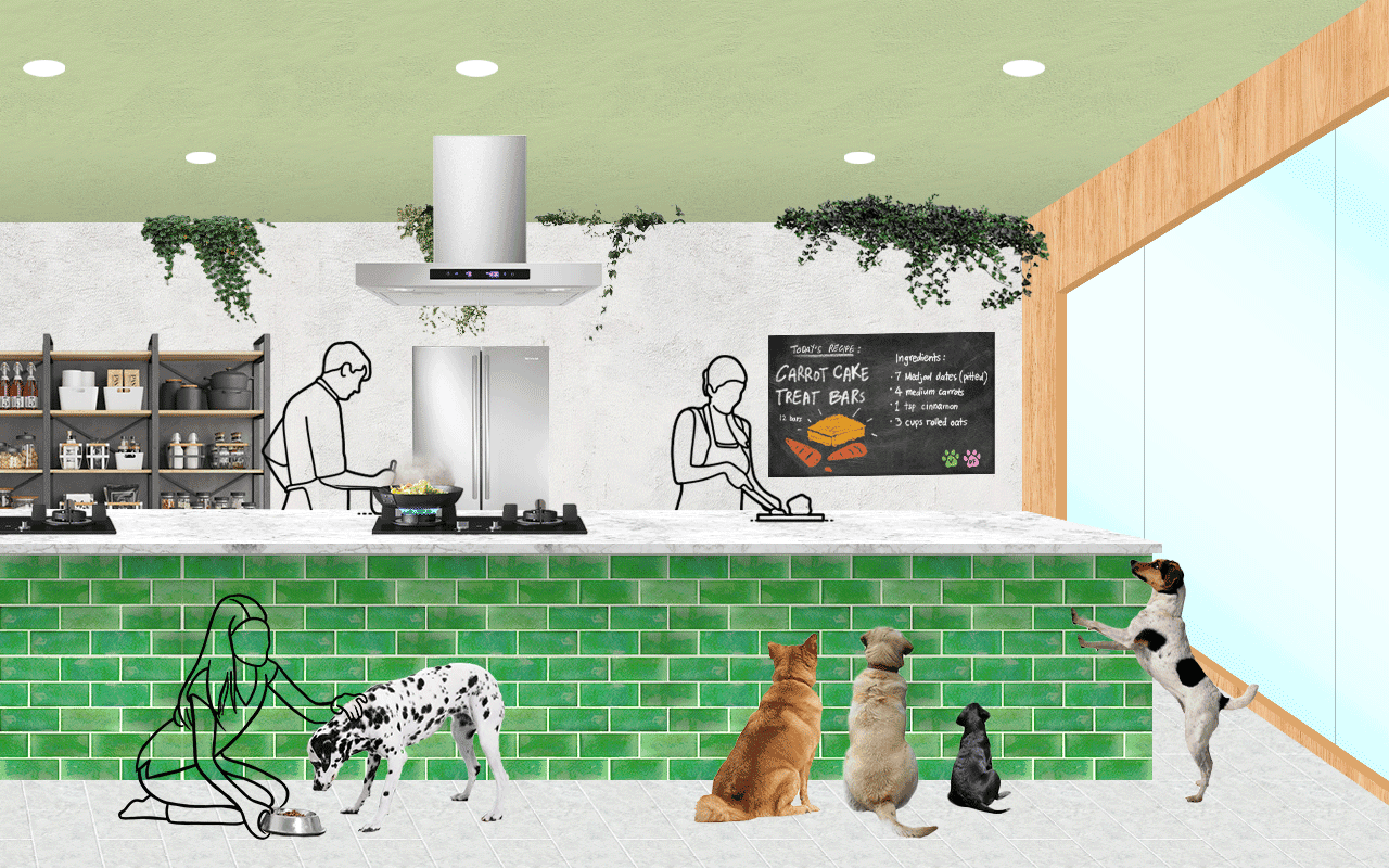 Somewhere Else Internship Experience Project X Regenerative Branding The Dog Pod