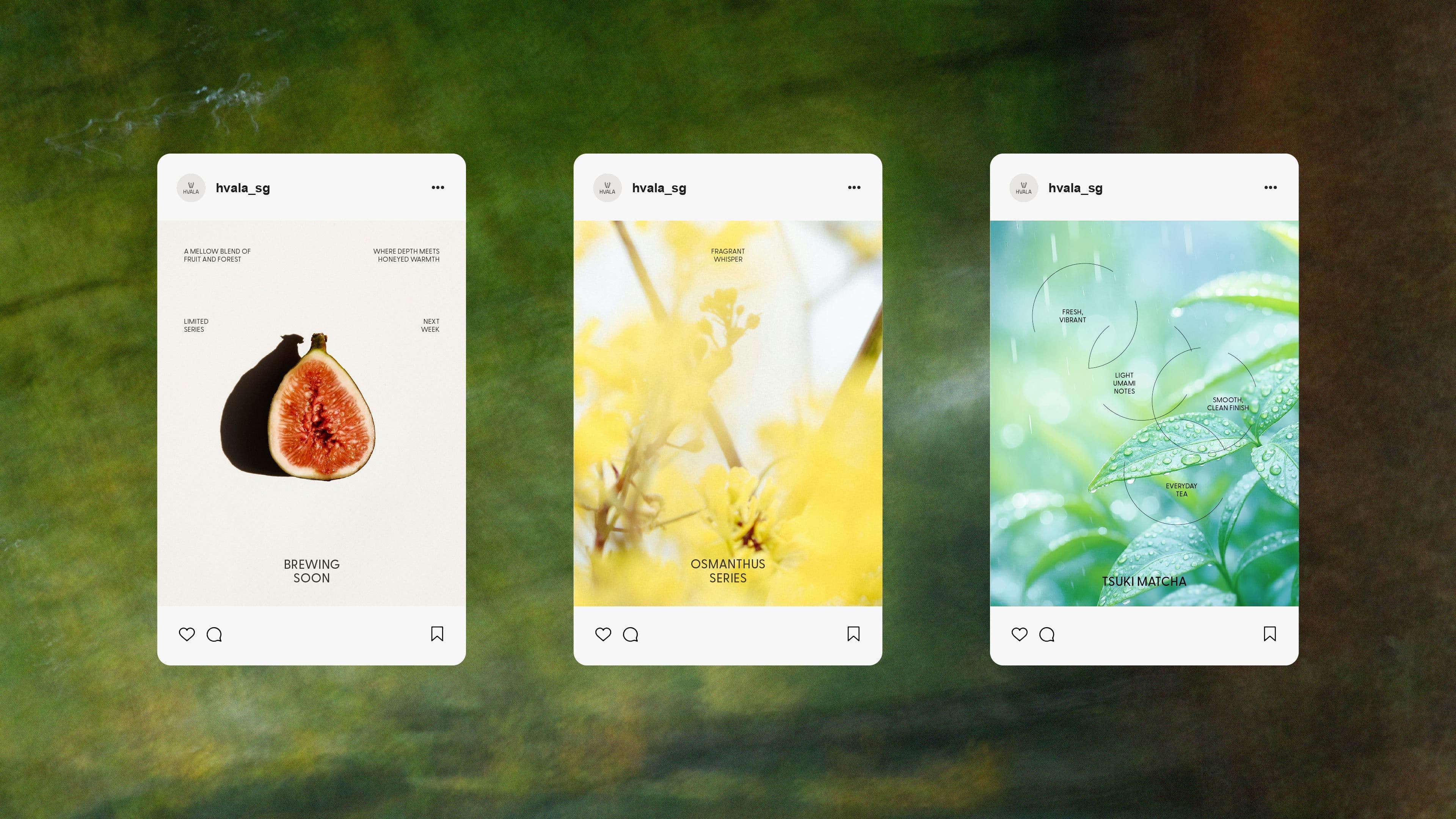 Hvala Social Media Art Direction Subtle Abstract Tea Ingredients