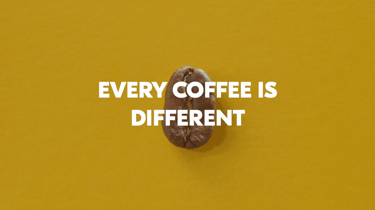 Heart 2 Heart Morning Coffee Insights Interview Every Coffee is Different