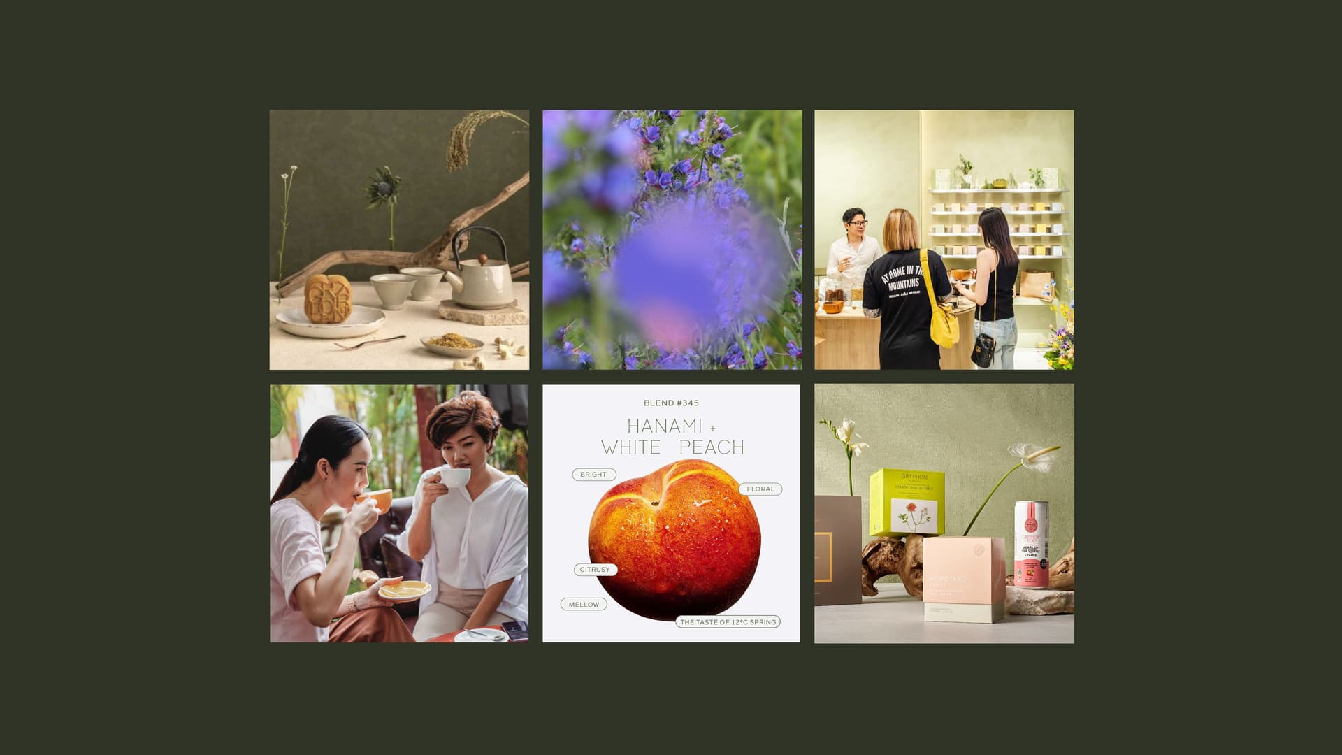 Gryphon Tea Social Media posts for instagram, showcasing art direction and brand photography