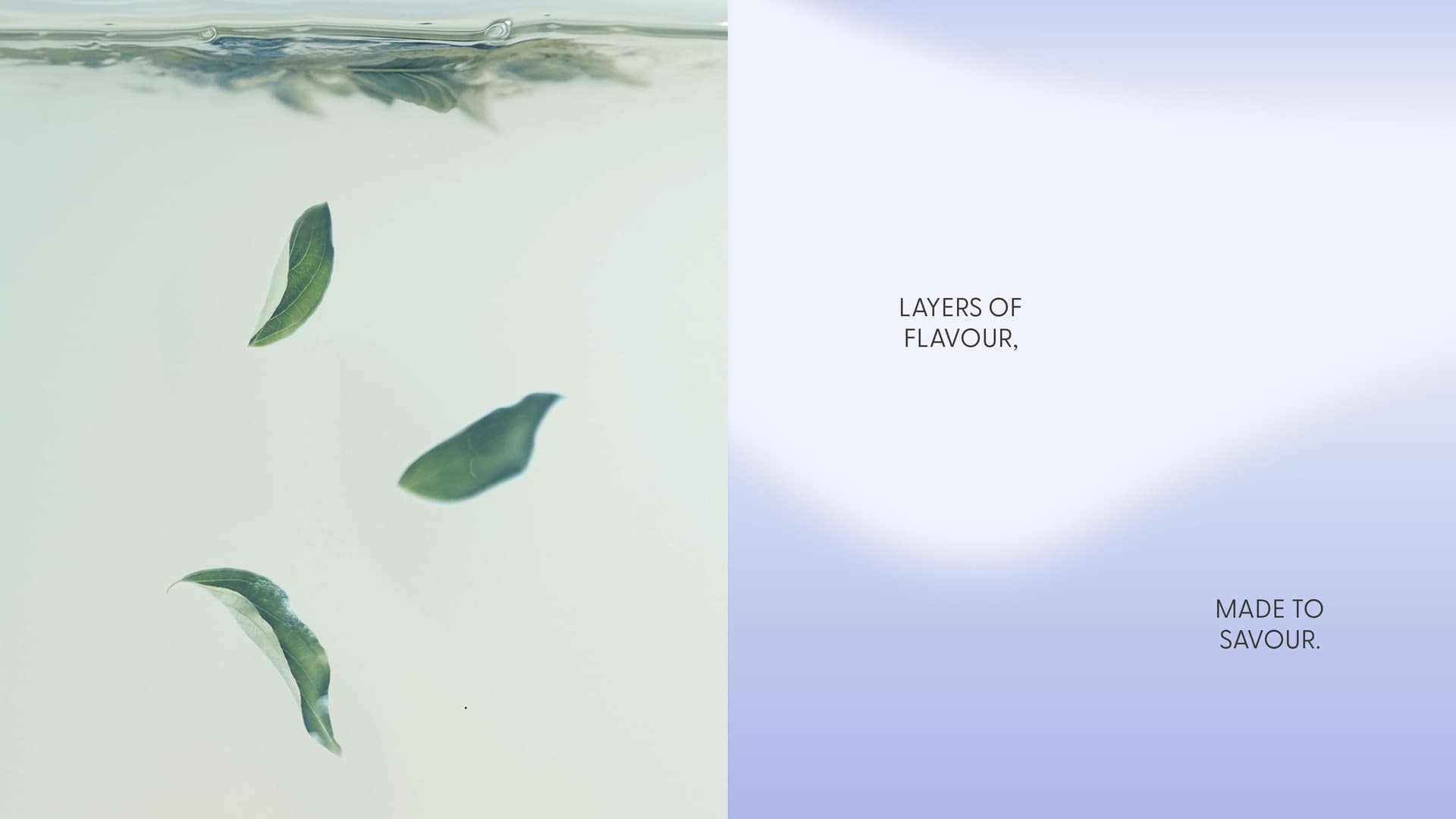 Hvala Illustration of tea stains and natural forms in minimalist fluid abstraction