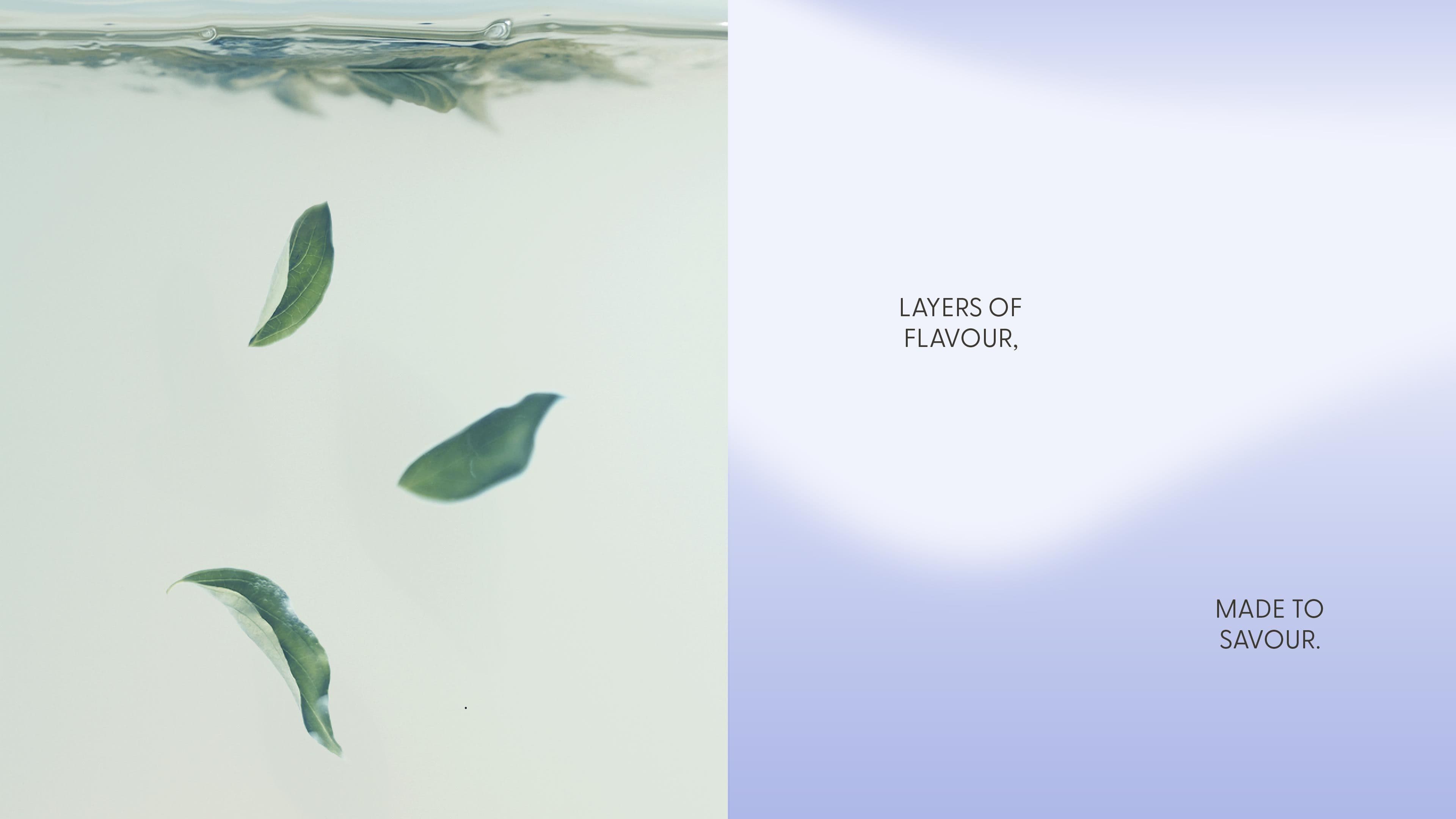 Hvala Illustration of tea stains and natural forms in minimalist fluid abstraction